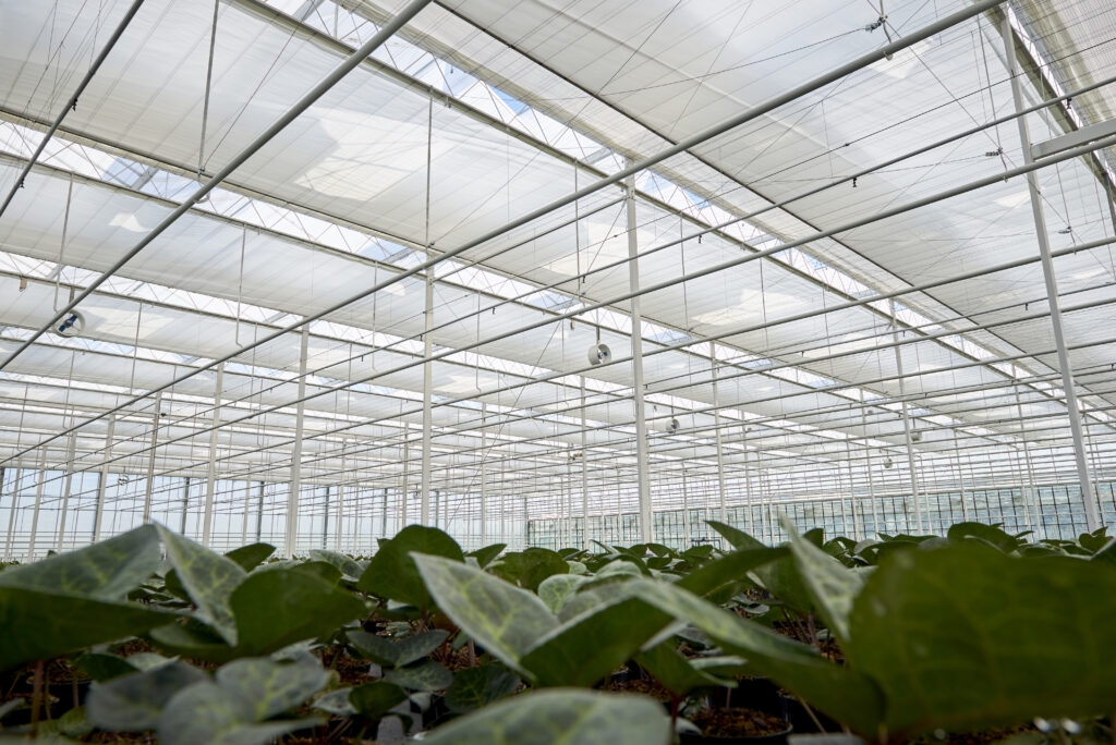 Plant Empowerment Plant Empowerment