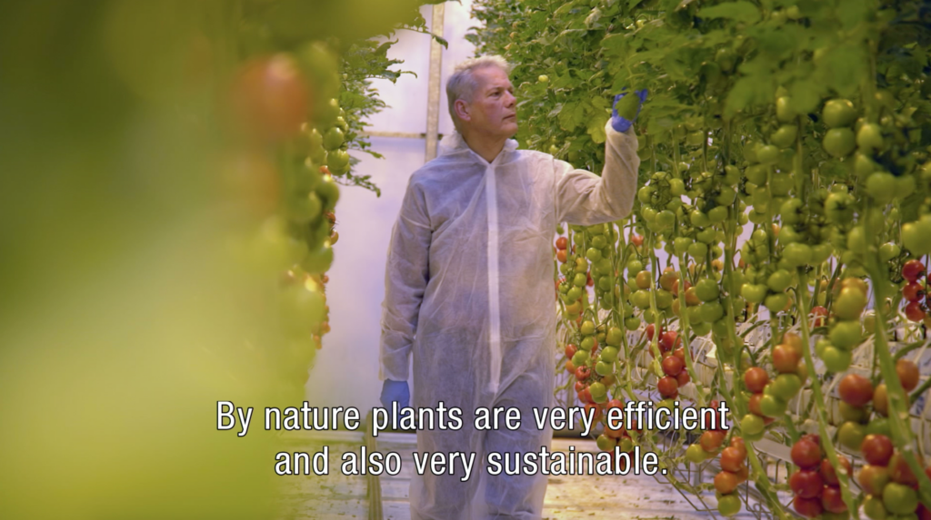 Free webinar series; Implementing Plant Empowerment Plant Empowerment