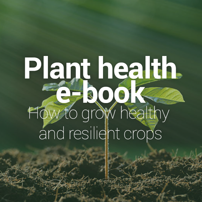 Ebook plant health How to grow healthy and resilient crops Plant