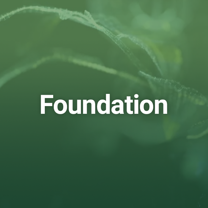 Course 3 How to create a solid foundation for healthy plants Plant