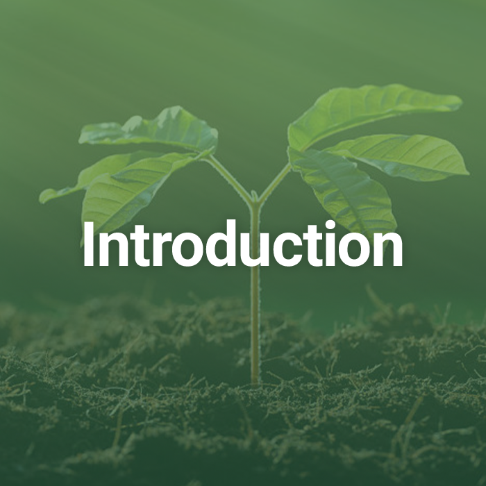 Course 1 How to grow a healthy plant Plant Empowerment