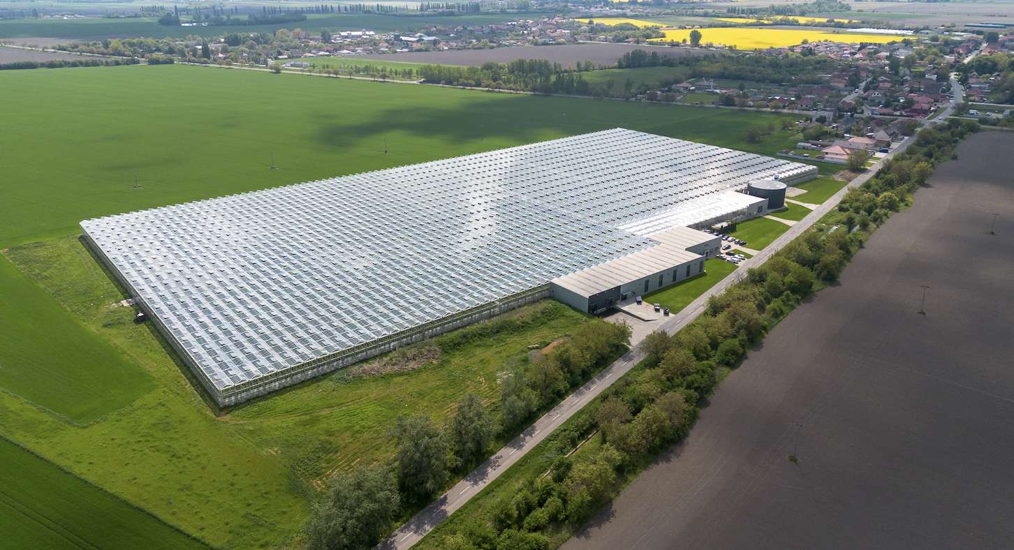 Plant Empowerment in practice: AGROTREND Kolárovo improves tomato growth and reduces chemical use
