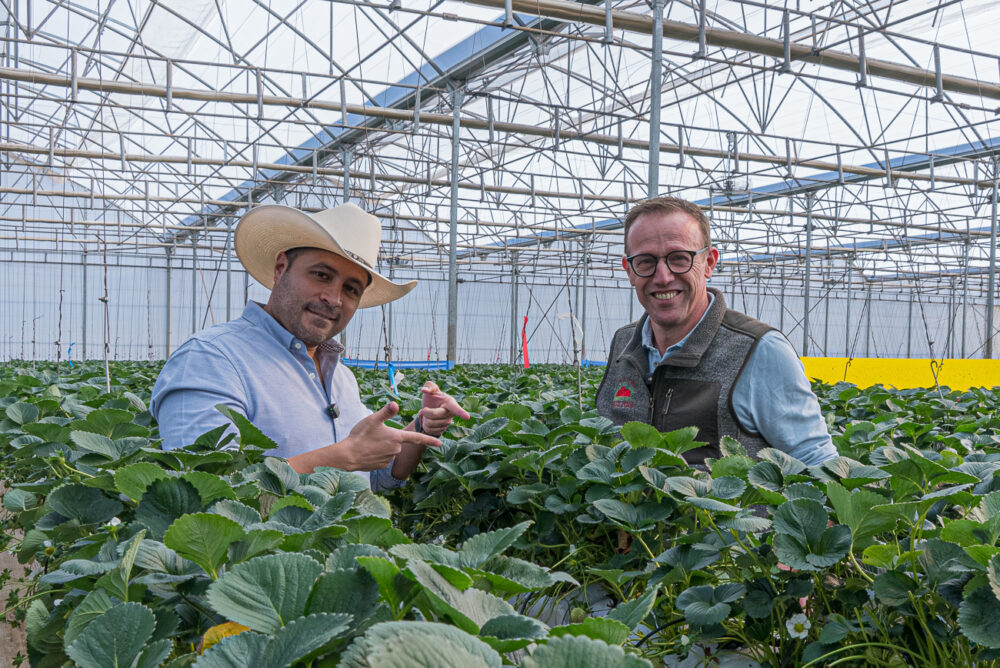 Berry Hill Doubles Strawberry Yield with Plant Empowerment