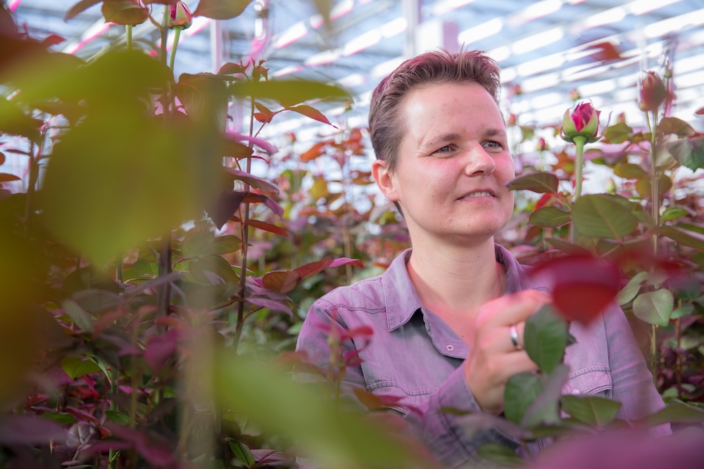 Leontiene van Genuchten_Signify_Plant Empowerment_greenhouse lighting and plant health