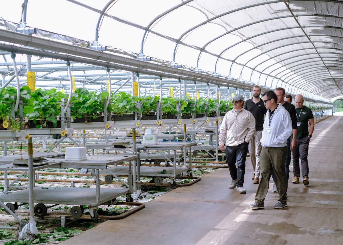 Successful fifth edition of the Plant Empowerment Summer School