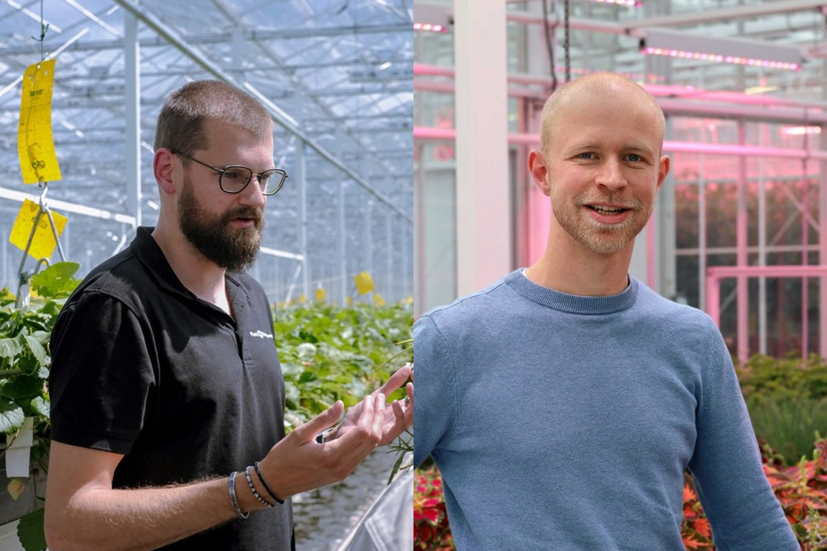 Training the next generation of tomato crop managers