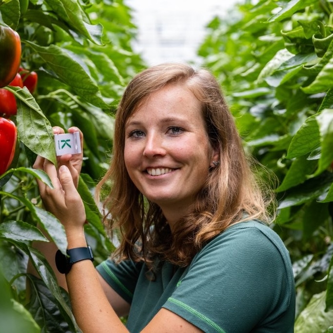 Meet the consultants: Lisa Broekhuizen