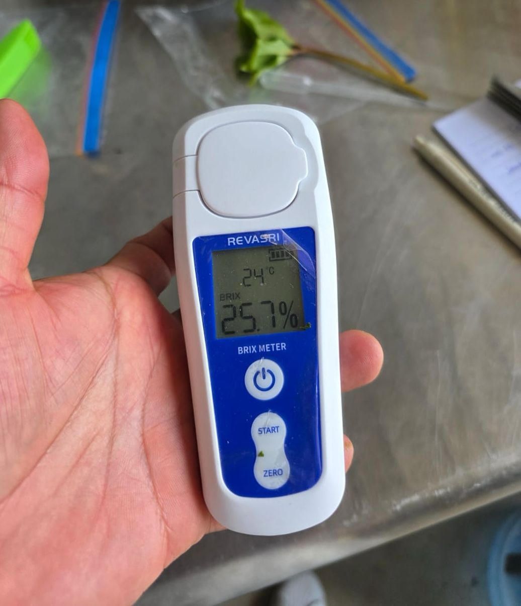 What can Brix tell us about plant health?