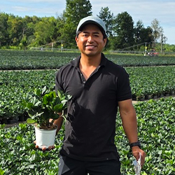 Sergio Hernandez Bautista –  Aldershot Greenhouses, Canada