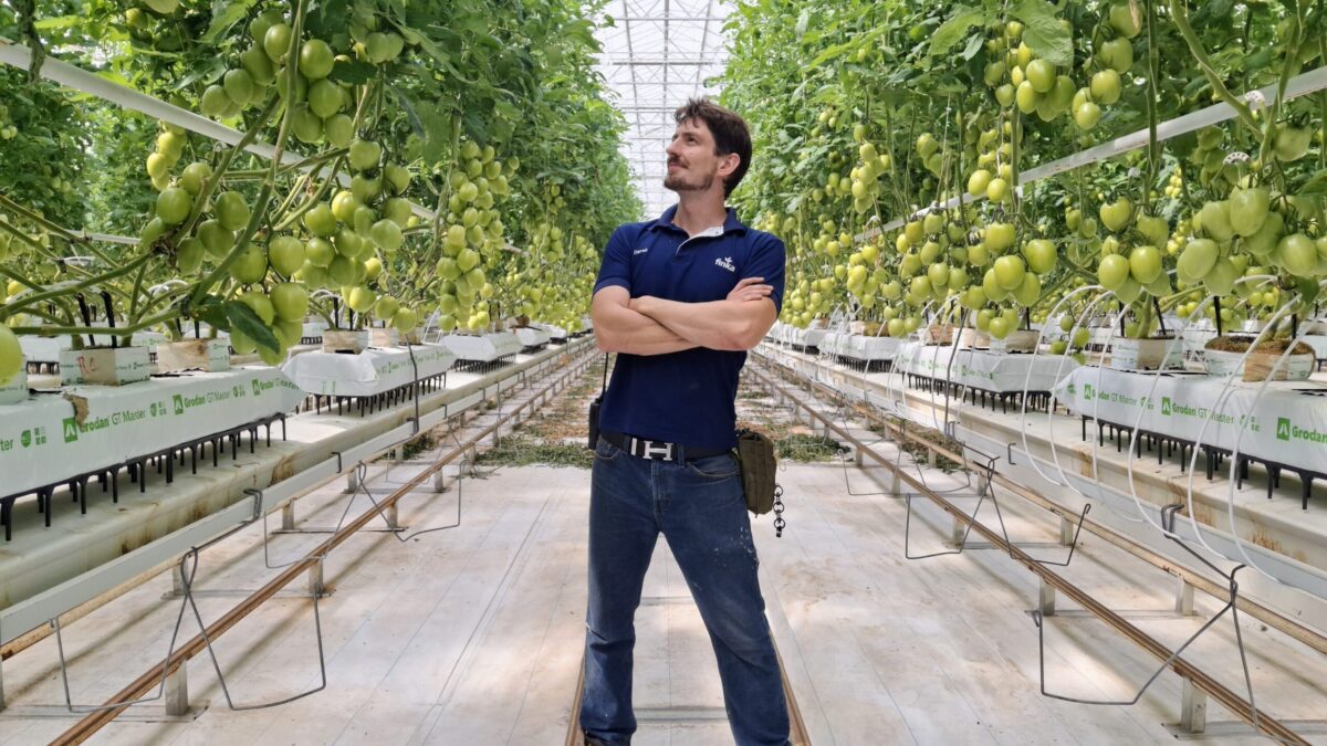 A greenhouse trial that increased production by 12%